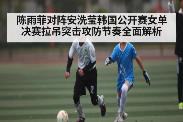 陈雨菲对阵安洗莹韩国公开赛女单决赛拉吊突击攻防节奏全面解析